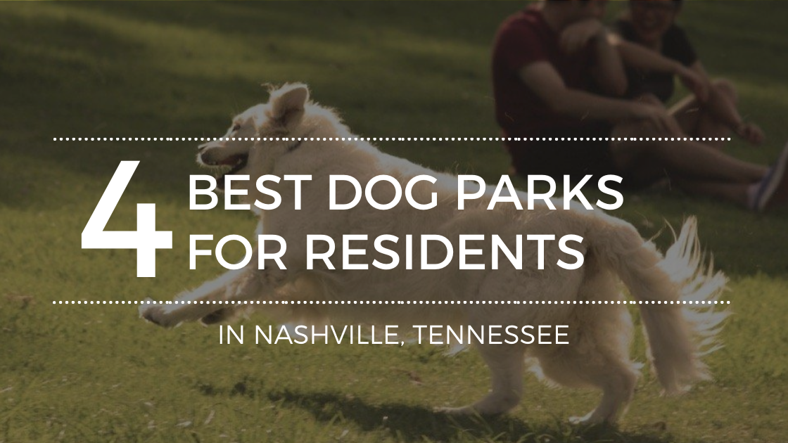 4 Must-See Dog Parks in Nashville, TN
