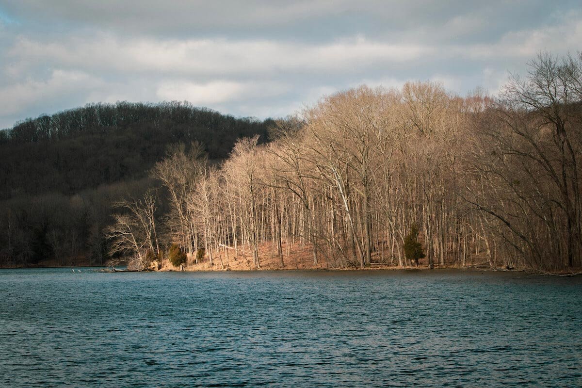 Radnor Lake State Park is Near Brentwood TN
