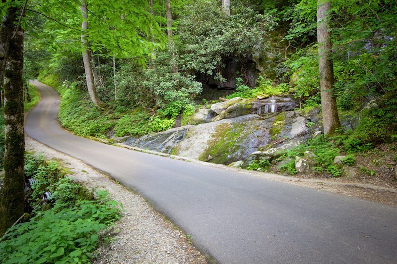 Visit Roaring Fork Motor Nature Trail