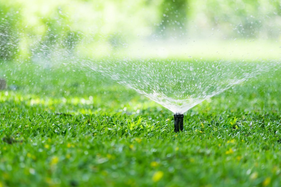 Watering With Sprinklers