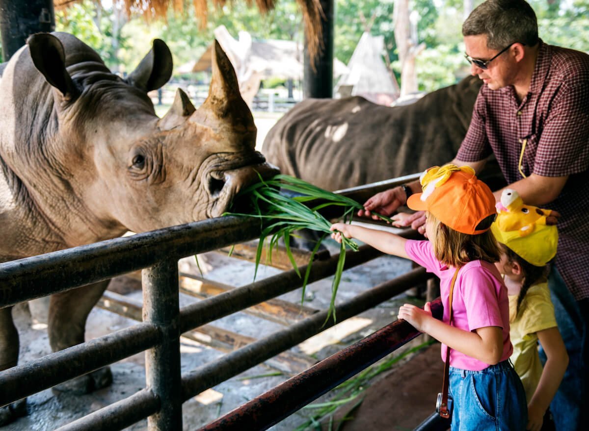 Kids Feeding Rhinos at a Zoo