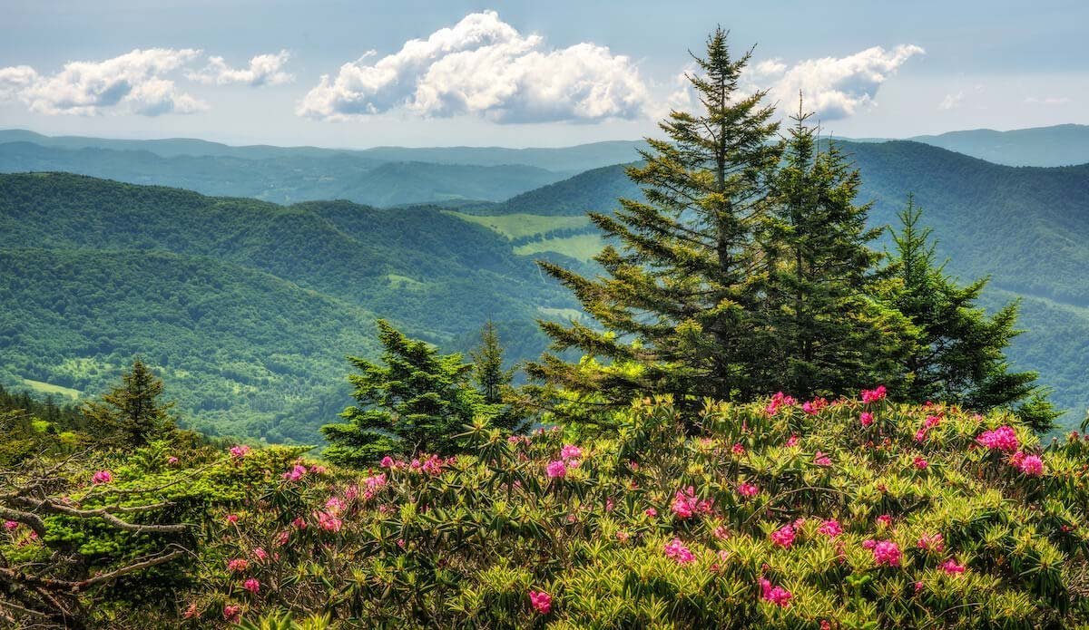 Roan Mountain State Park in Eastern Tennessee