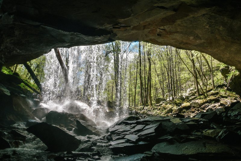 Visit Virgin Falls State Park in Rutherford County