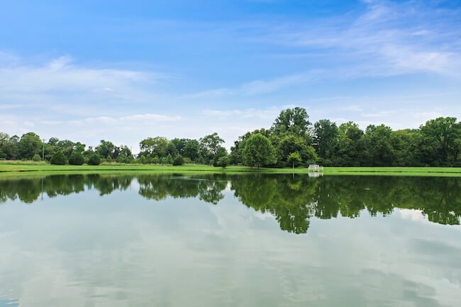 Pond at Harlinsdale Farm, Downtown Franklin, Tennessee