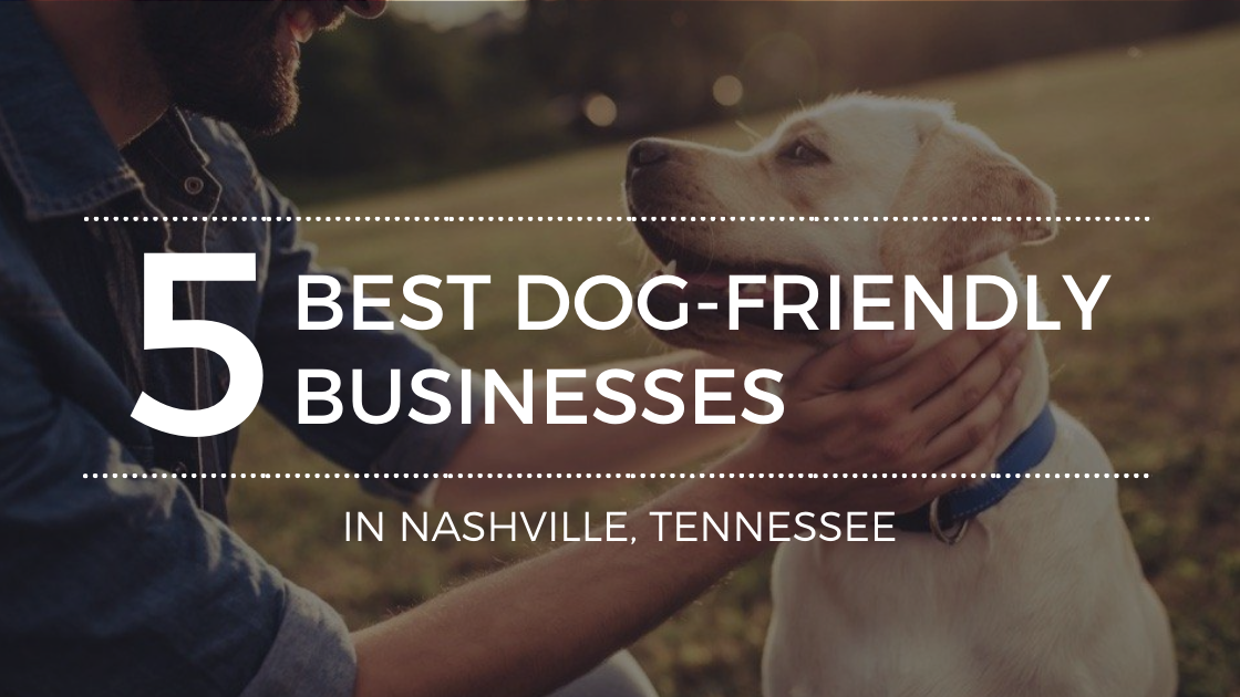 Where to Go in Nashville with My Dog