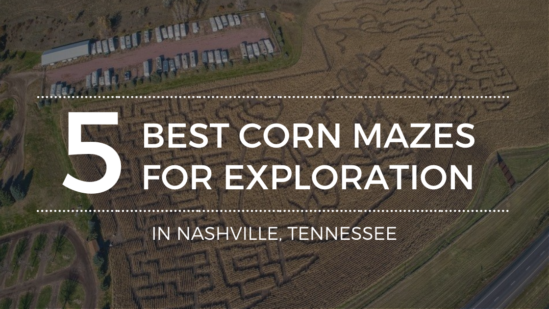 The Best Corn Mazes in Nashville TN