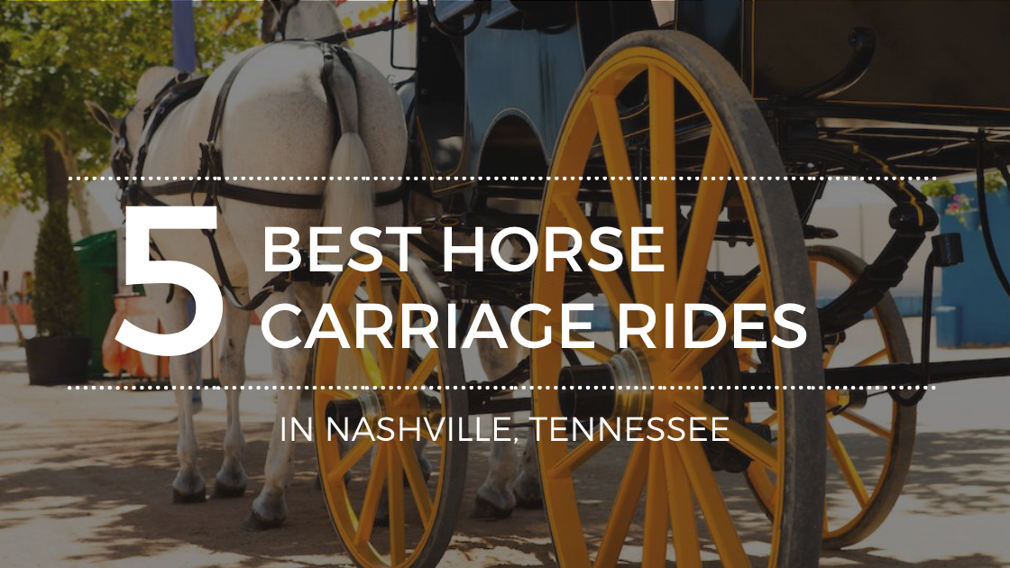 The Best Carriage Rides in Nashville