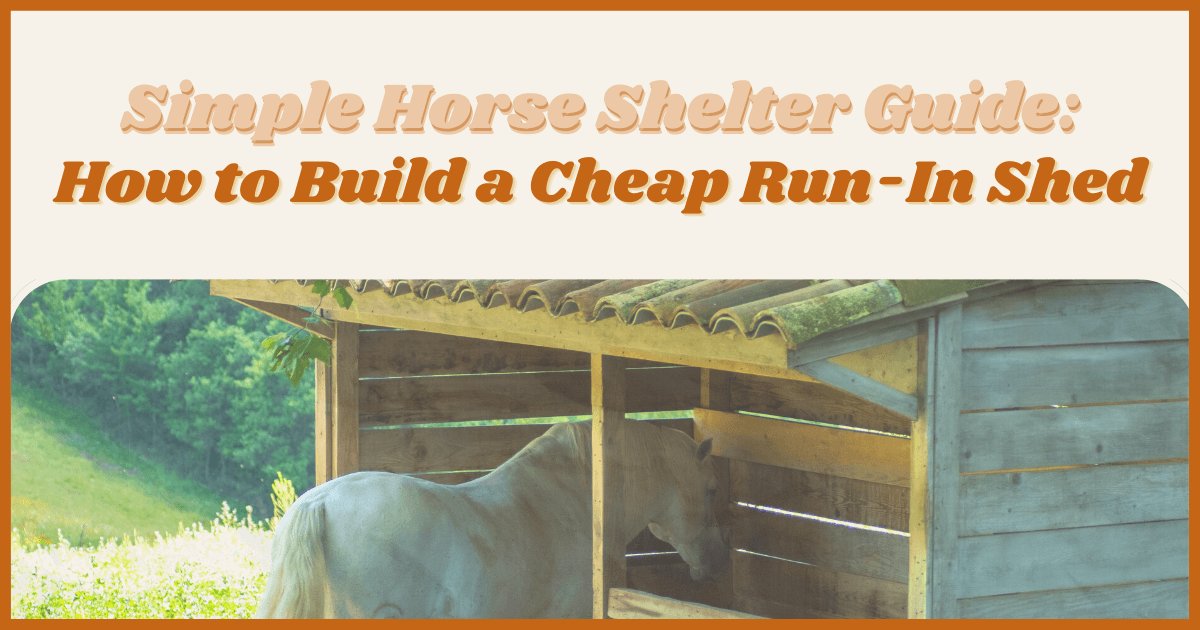 How to Build a Budget-Friendly Shelter