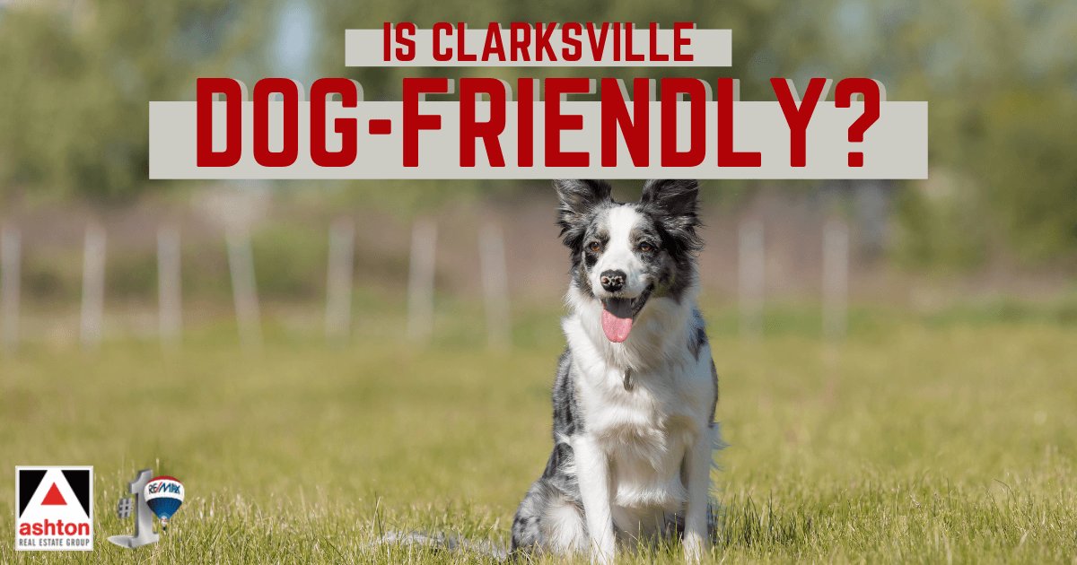 Things to Do With Dogs in Clarksville, TN