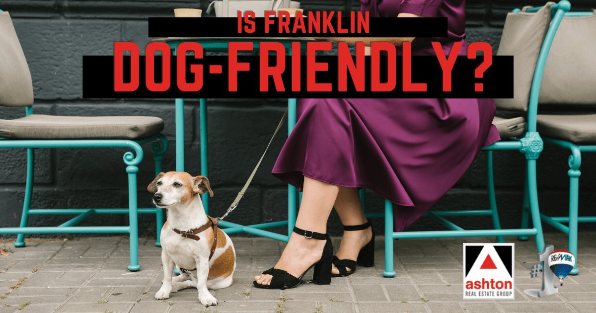 Things to Do With Dogs in Franklin, TN