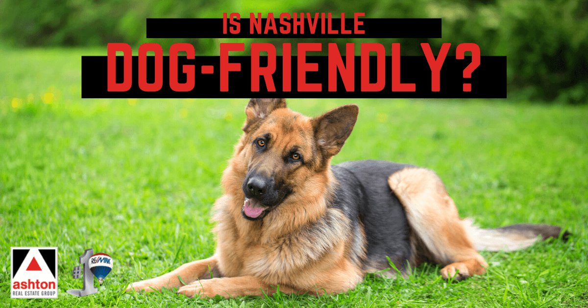 Things to Do With Dogs in Nashville, TN
