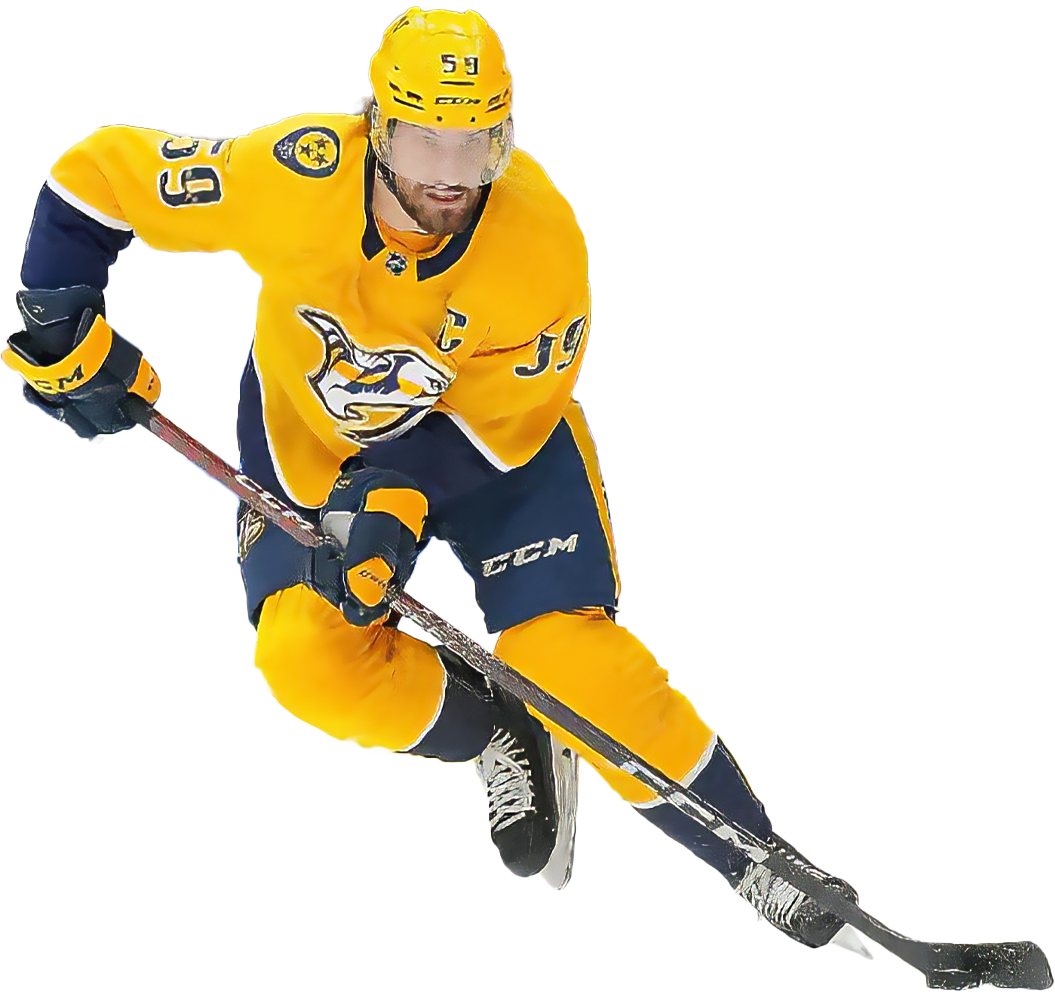 Nashville Predators - You see it, you like it, you want it, you