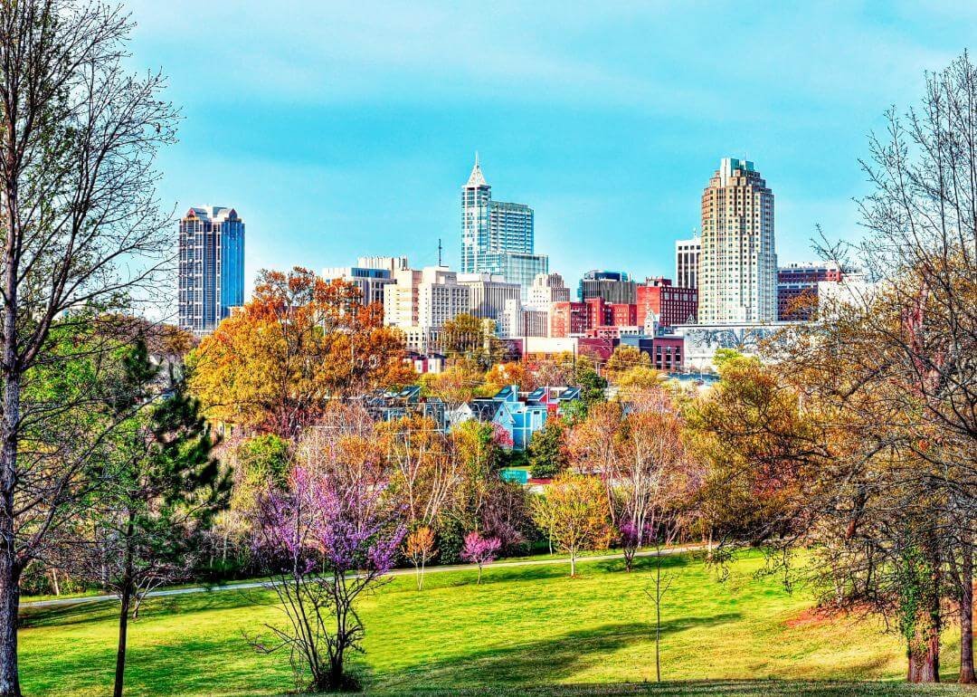 Raleigh-Cary skyline in North Carolina