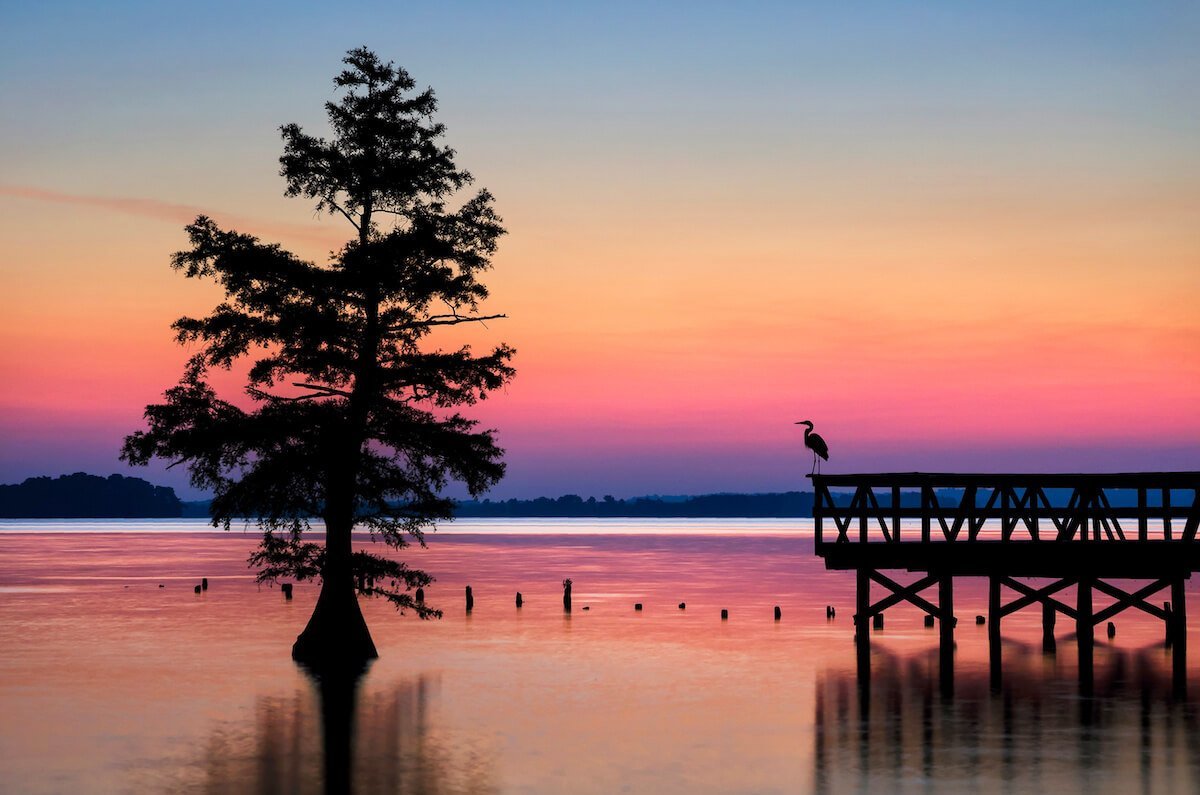 Reelfoot Lake at Sunrise in Tennessee